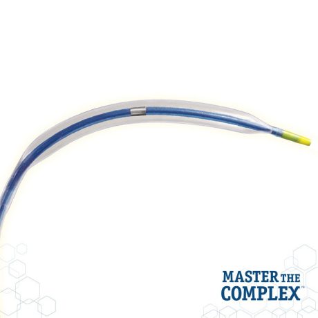 APEX PTCA Dilatation Catheter